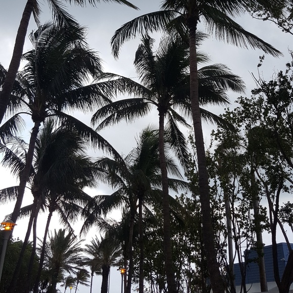 Meet your Posher, Tiffany - Picture 1 of 1